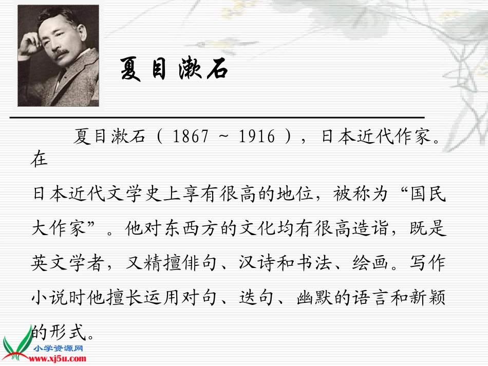 (语文S版)五年级语文上册课件_我是猫_1[1]_第2页