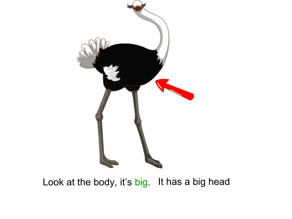 pep三下_unit3_At_the_zoo_Part_B_Let's_learn_第3页