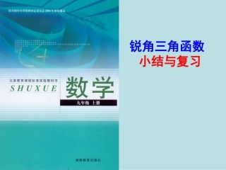 锐角三角函数小结与复习