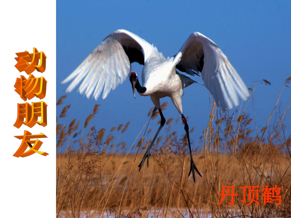 三上第四单元万以内数的加法和减法课件_第2页