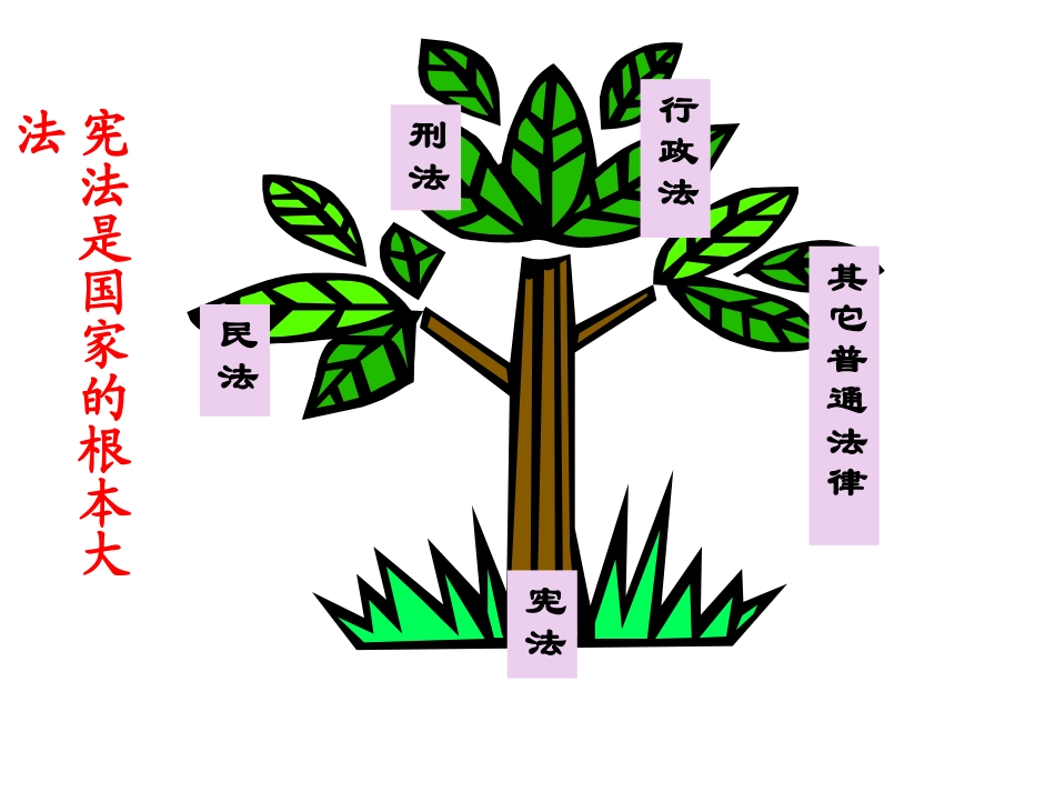 宪法是国家的根本大法 (2)_第3页