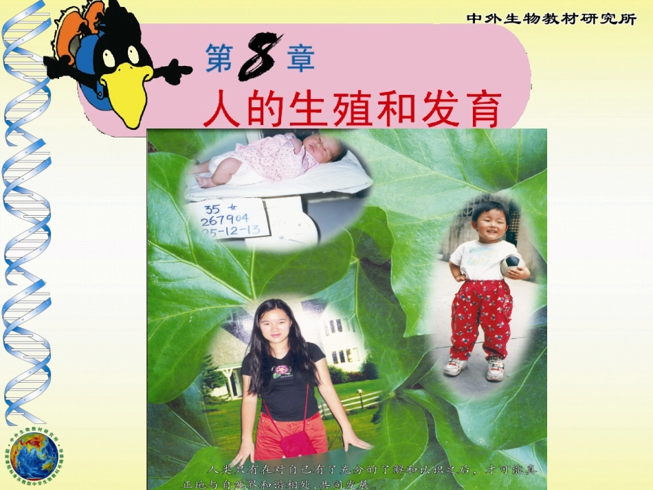 人的生殖和发育_第1页