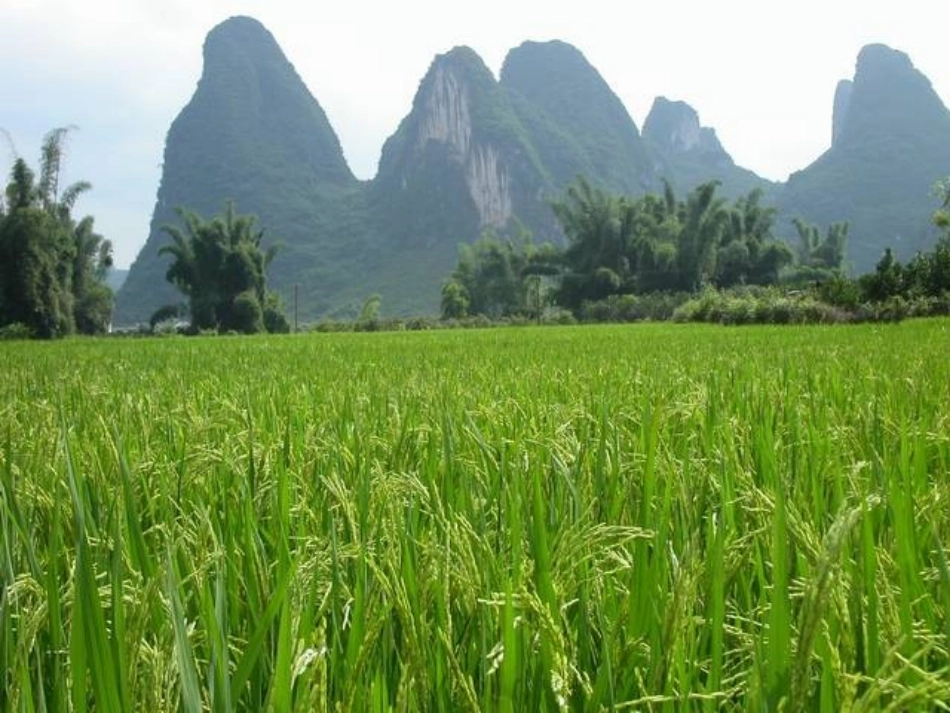 小小竹排画中游 (2)_第3页