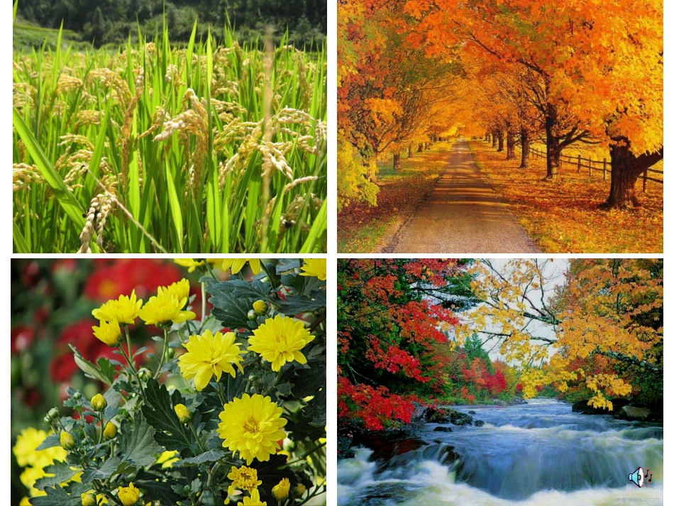 ！秋天（20分种版）_第2页