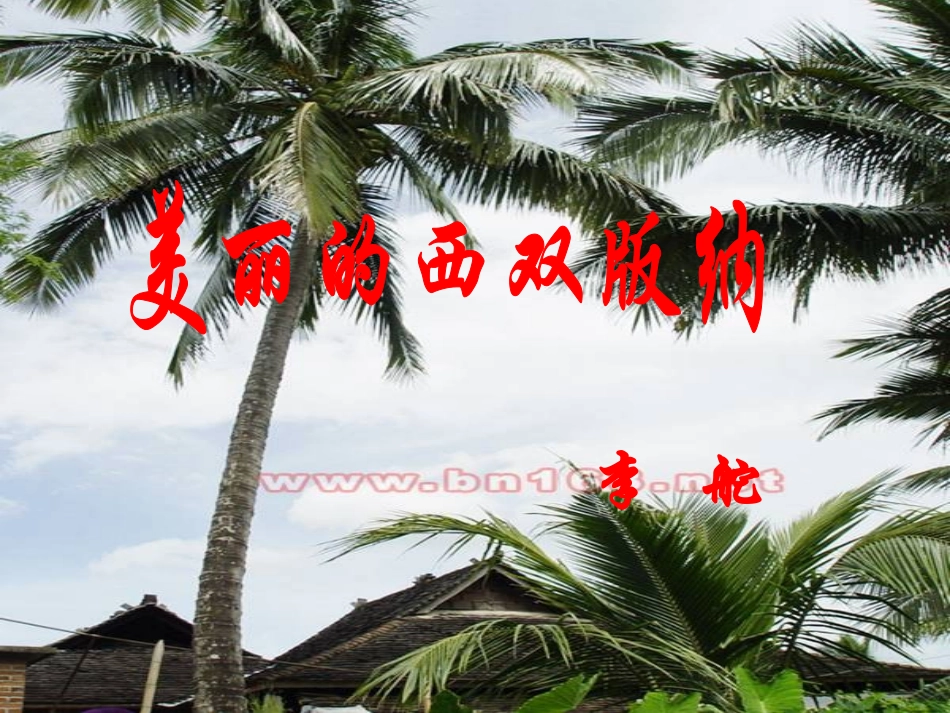 美丽的西双版纳课件_第1页