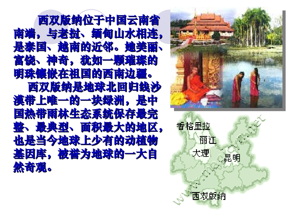 美丽的西双版纳课件_第2页