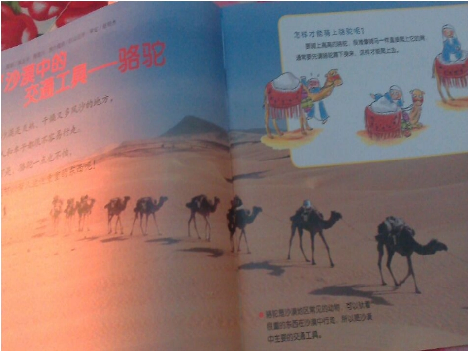 沙漠中的交通工具_第1页