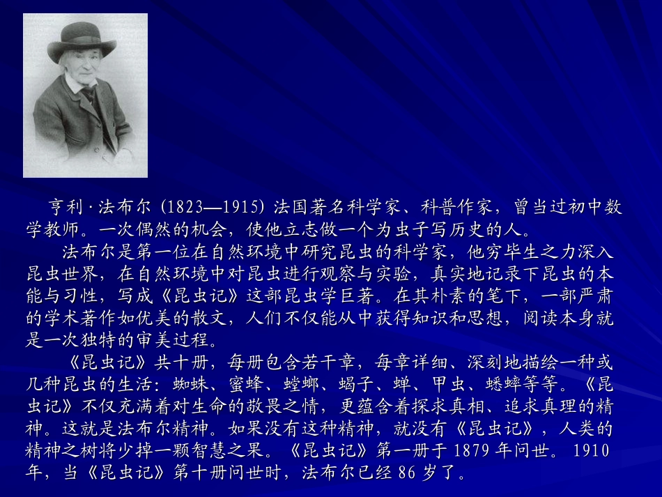 三年级语文蜜蜂课件_第2页