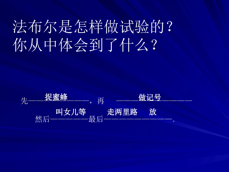 三年级语文蜜蜂课件_第3页