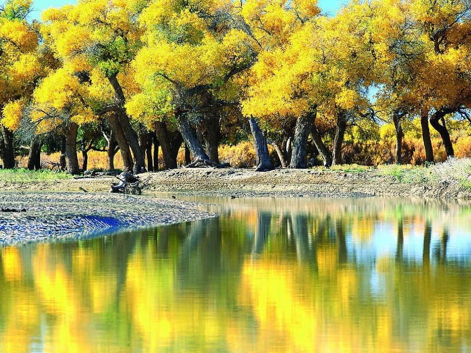 秋天的图画作文指导_第2页