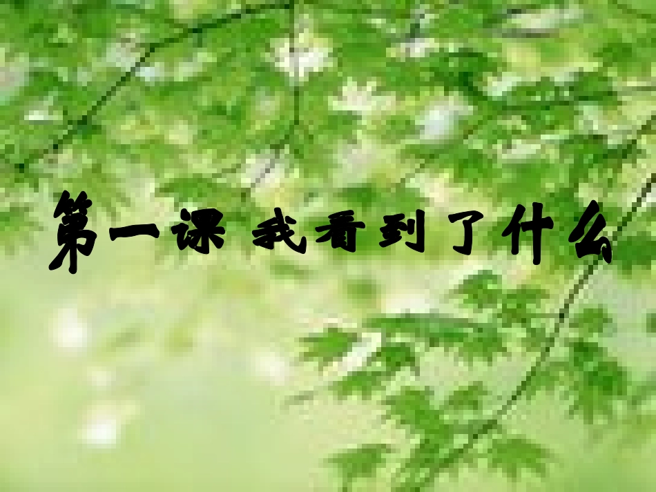 《我看到了什么》课件1_第1页