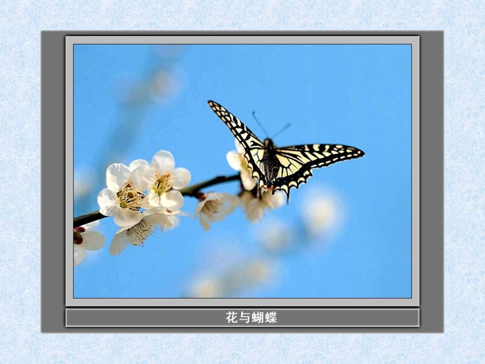 《我看到了什么》课件1_第3页