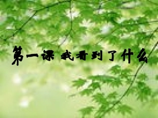 《我看到了什么》课件1