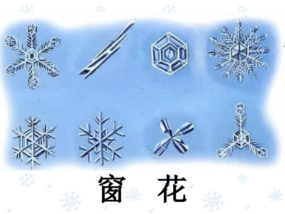 踏雪玩冰课件（品德与生活一上）_第3页