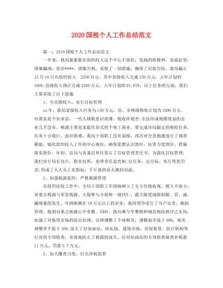 国税个人工作总结范文  (2)