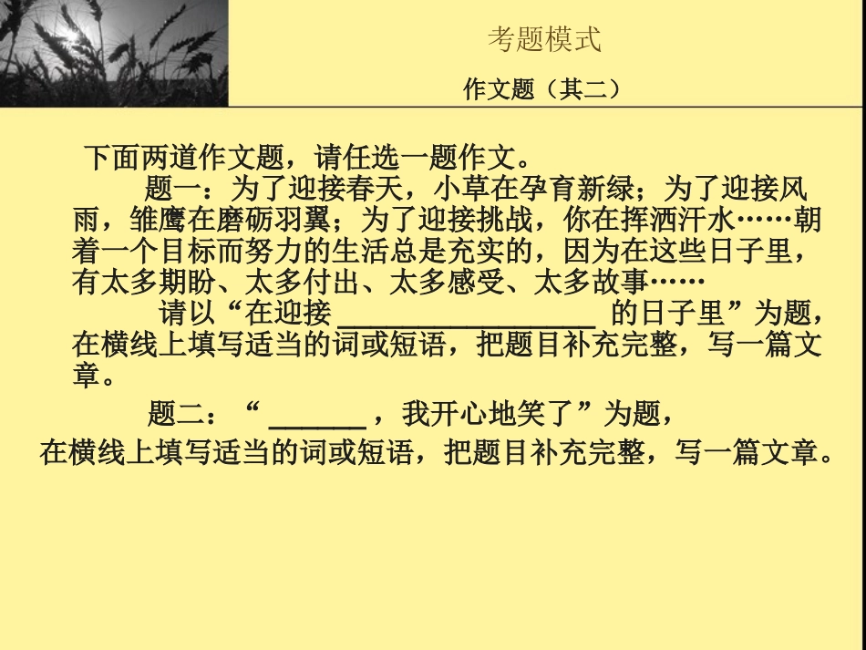 半命题作文辅导_第3页