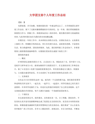 大学团支部个人年度工作总结 