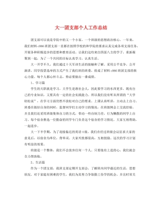 大一团支部个人工作总结 