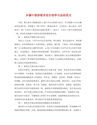 乡镇干部讲看齐见行动学习总结范文 