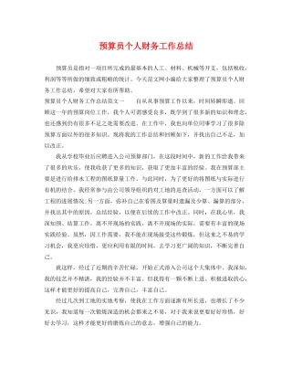 预算员个人财务工作总结 