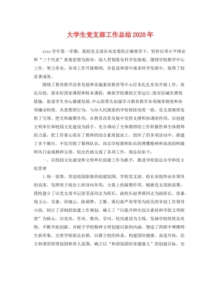 大学生党支部工作总结2020年 