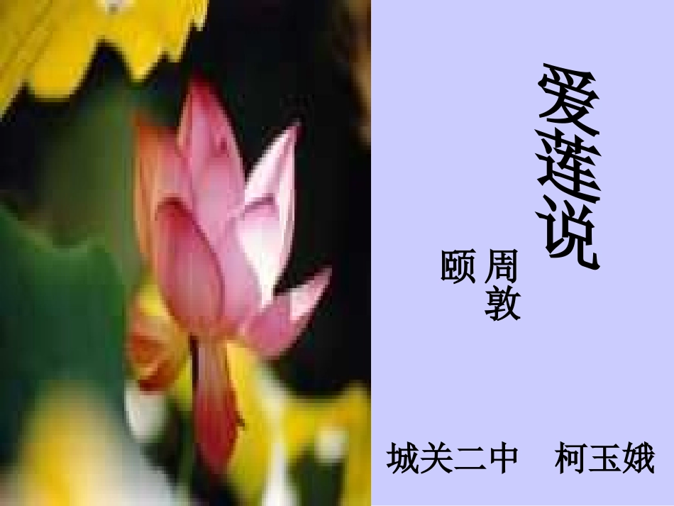八年级语文爱莲说_第1页