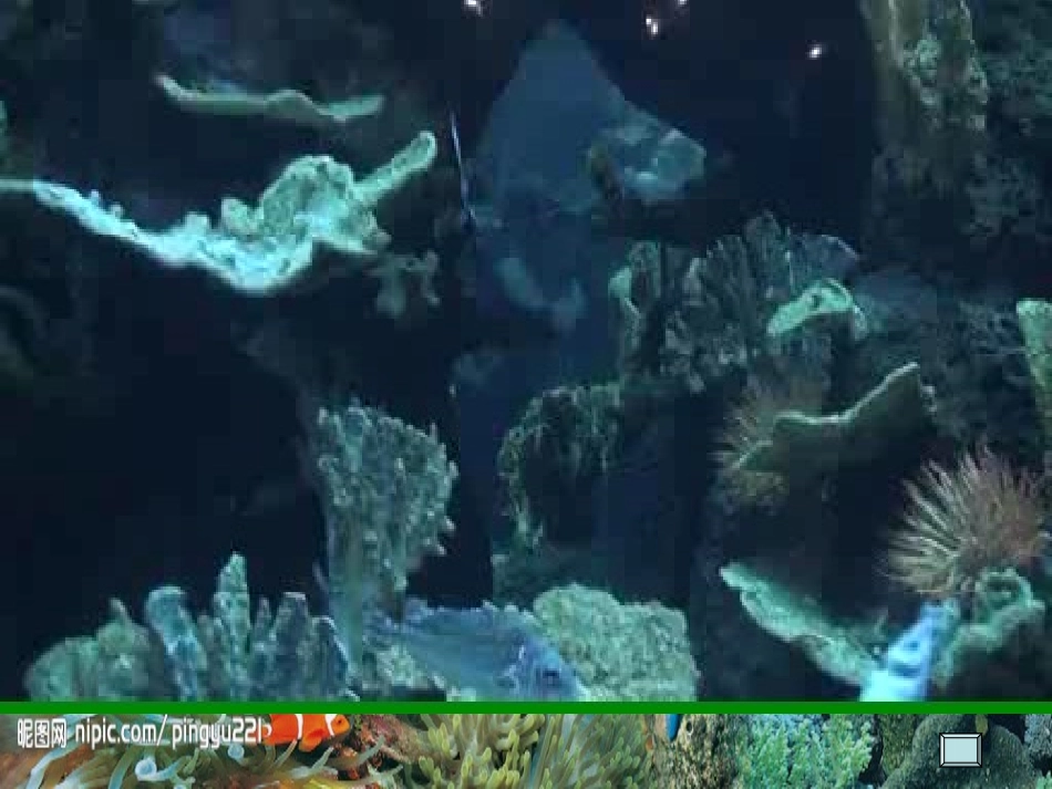 这条小鱼我在乎_第2页