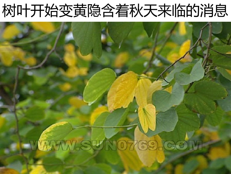 走进信息世界_第2页