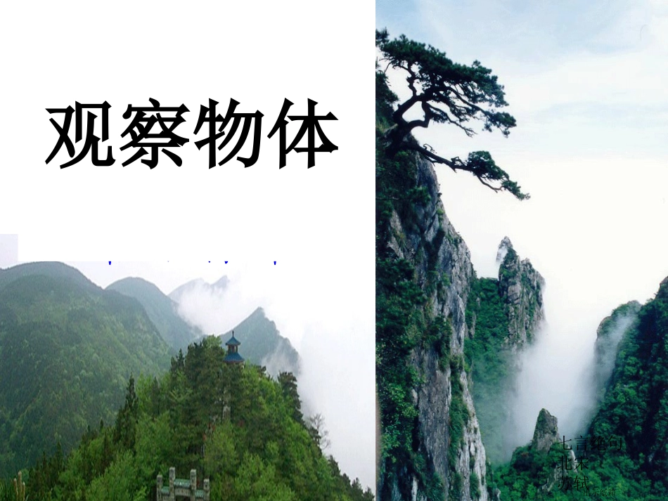 五年级数学观察物体_第3页