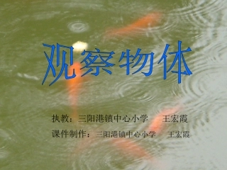 五年级数学观察物体