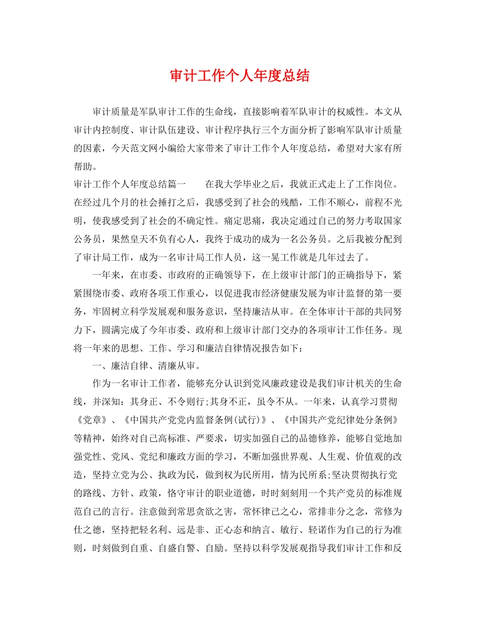 审计工作个人年度总结 _第1页