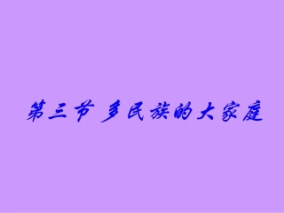 多民族的大家庭2