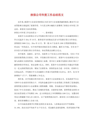担保公司年度工作总结范文 