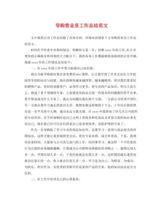 导购营业员工作总结范文 