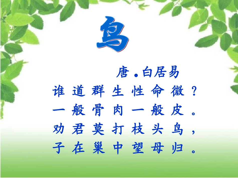 鸟儿的侦察报告_第1页