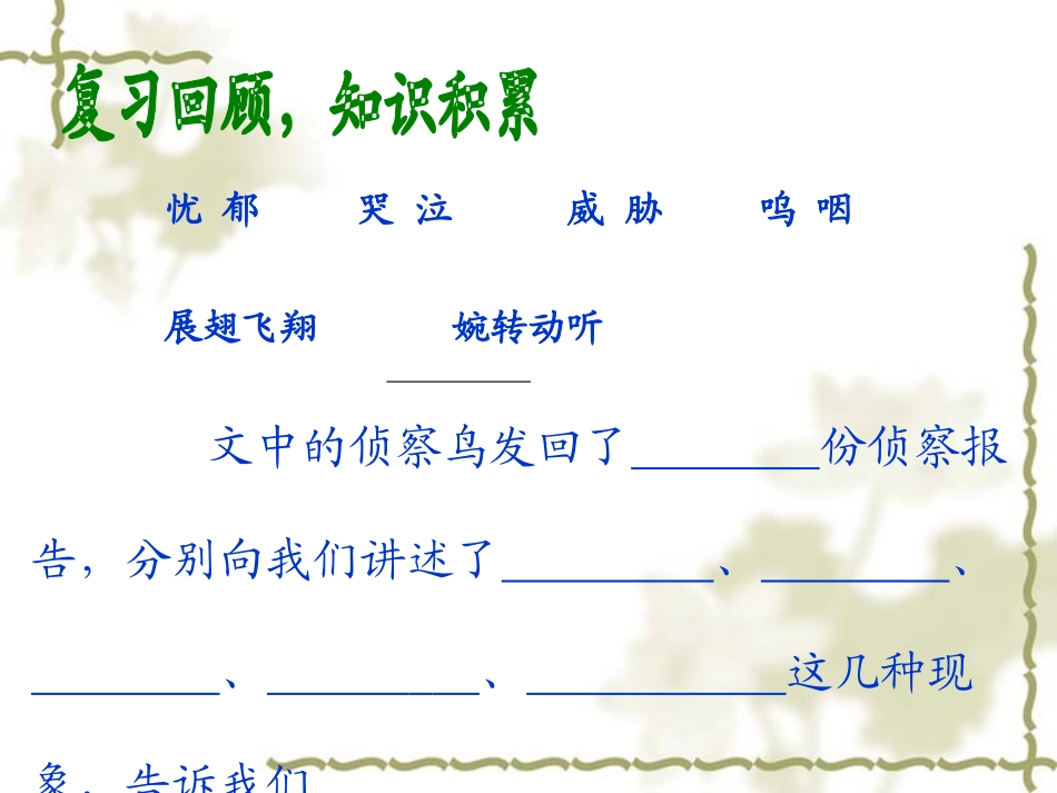鸟儿的侦察报告_第3页