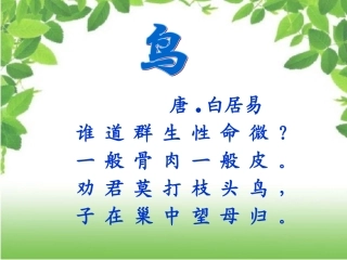 鸟儿的侦察报告