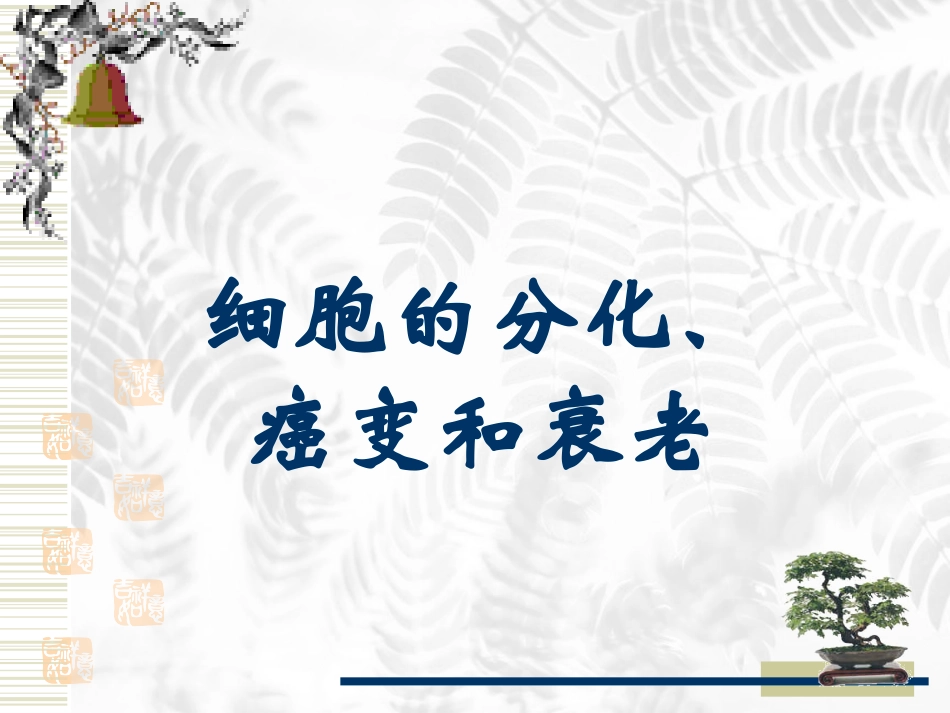 细胞的分化、癌变和衰老_第1页