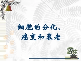 细胞的分化、癌变和衰老