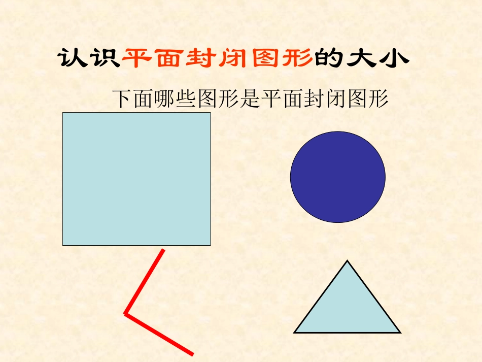 面积和面积单位 (2)_第3页