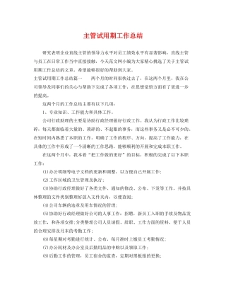 主管试用期工作总结 