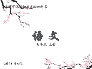 伤仲永_课件 (2)