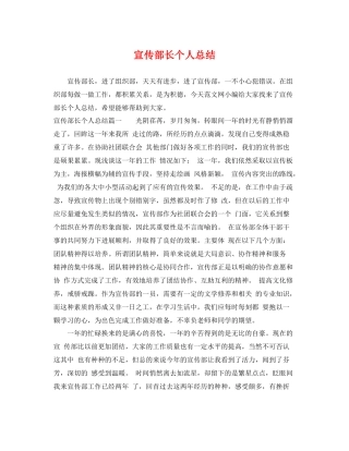 宣传部长个人总结 