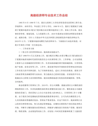 高级经济师专业技术工作总结 