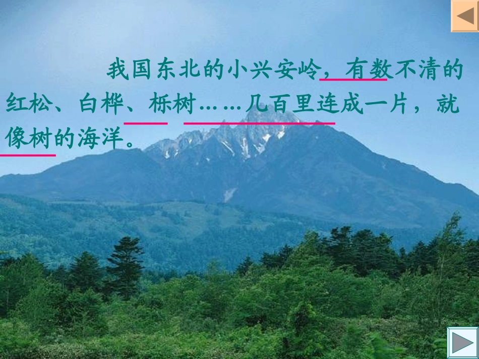 美丽的小兴安岭 (4)_第3页