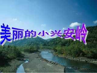 美丽的小兴安岭 (4)