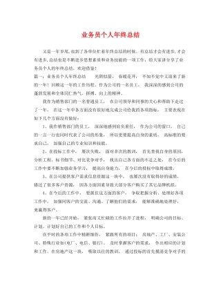 业务员个人年终总结 