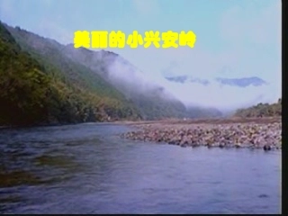 人教版小学语文三年级上册《美丽的小兴安岭》PPT课件 (2)