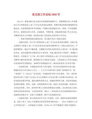 党支部工作总结3000字 