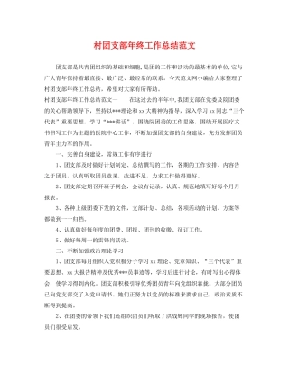 村团支部年终工作总结范文 